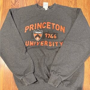 Champion Gray and Orange Princeton University Sweater